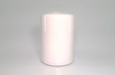 MAIN FILTER INC CSG50P25A