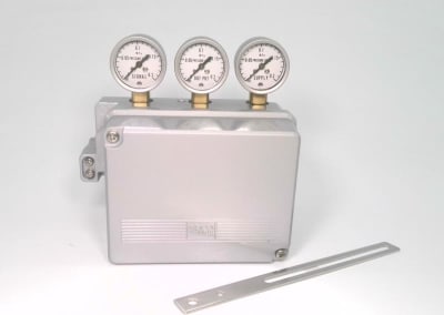 SMC IP300-010-NPT