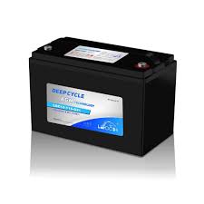 LEOCH BATTERY CORP LDC12-115-G31