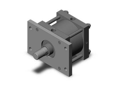 SMC CS1FN250-100