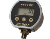 CECOMP ELECTRONICS DPG2000B1000MBARA-D4-ON