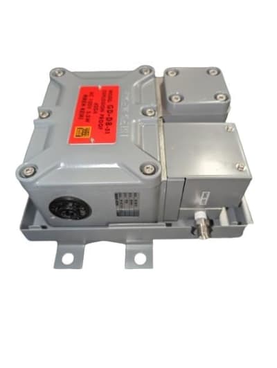 RIKEN KEIKI GD-D8-51