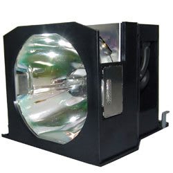 RADWELL VERIFIED SUBSTITUTE DW7000-SUB (LAMP & HOUSING)