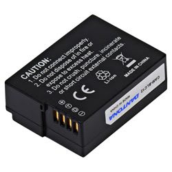 RADWELL VERIFIED SUBSTITUTE DMW-BLC12-SUB