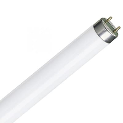 PHILIPS F15T8/D