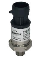 GEMS SENSORS 3100B0010G1G9000