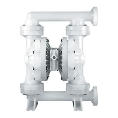 WILDEN PS800-PKPPP-BNS-BN-P-BN