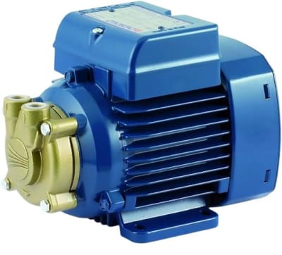 PEDROLLO 41PNV55A1N