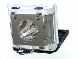 RADWELL VERIFIED SUBSTITUTE BQC-ANMB60LP-SUB (LAMP & HOUSING)