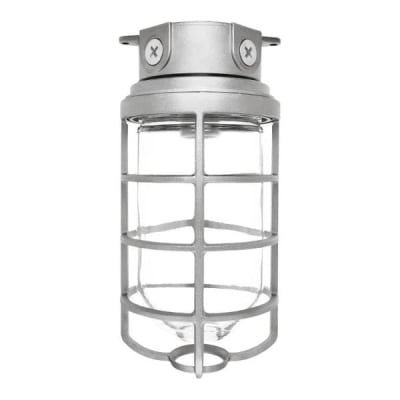 RAB LIGHTING VX200DG-3/4