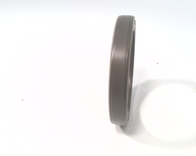 SKF 55X72X10 HMSA10 RG