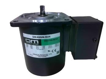 ORIENTAL MOTOR 5IK40GN-ECH