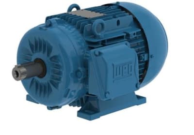 WEG 00736ET3EAL132S-W22