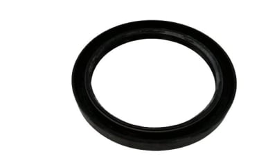NAK SEALING TECHNOLOGIES TC-100X125X13
