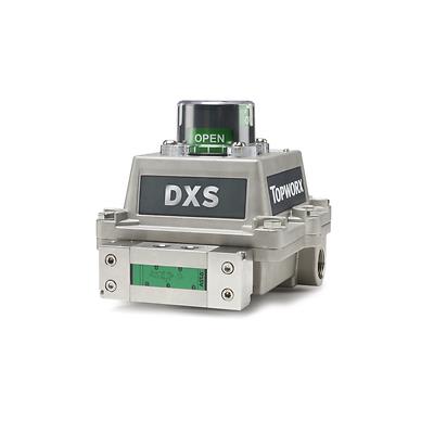 TOPWORX DXS-L21GNES2622