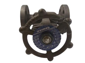 NEWCO 13F-FS2-RP-INT