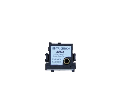 BRAH ELECTRIC BE-TR30B3000