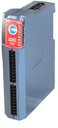 TRIO MOTION TECHNOLOGY P317 + TRIO MOTION