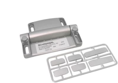 SCHMERSAL TESK-ZS (EXTRA HINGE, STANDARD)