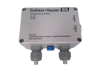 ENDRESS & HAUSER FMX21