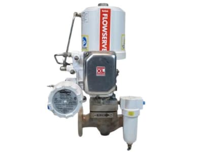 VALTEK NT3002102SN1W00