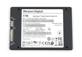 WESTERN DIGITAL WDS100T3B0A-00AXR0